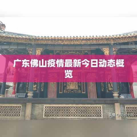 老死不相往来 第2页