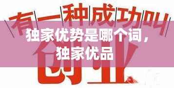独家优势是哪个词,独家优品