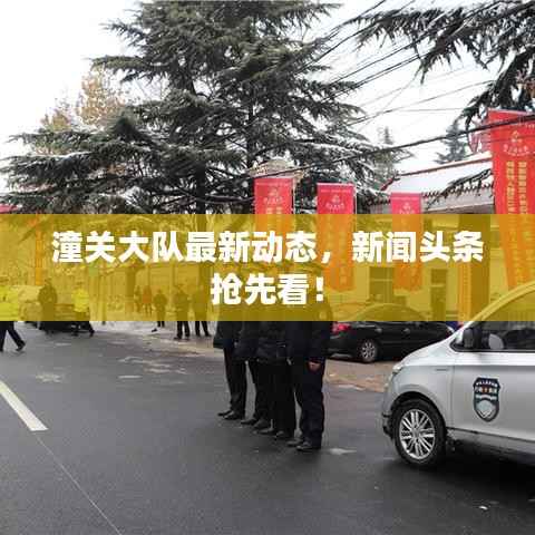 潼关大队最新动态,新闻头条抢先看!