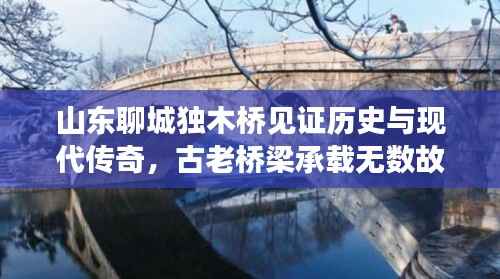 山东聊城独木桥见证历史与现代传奇,古老桥梁承载无数故事