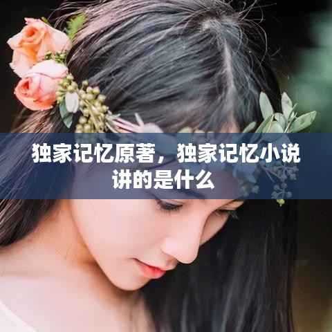 独家记忆原著，独家记忆小说讲的是什么 