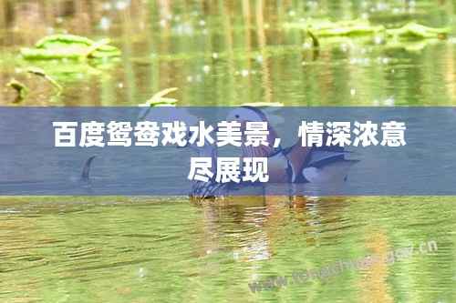 随圆就方 第2页