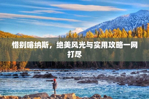 惜别喀纳斯,绝美风光与实用攻略一网打尽